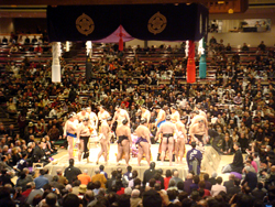 相撲観戦