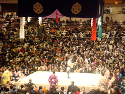 相撲観戦